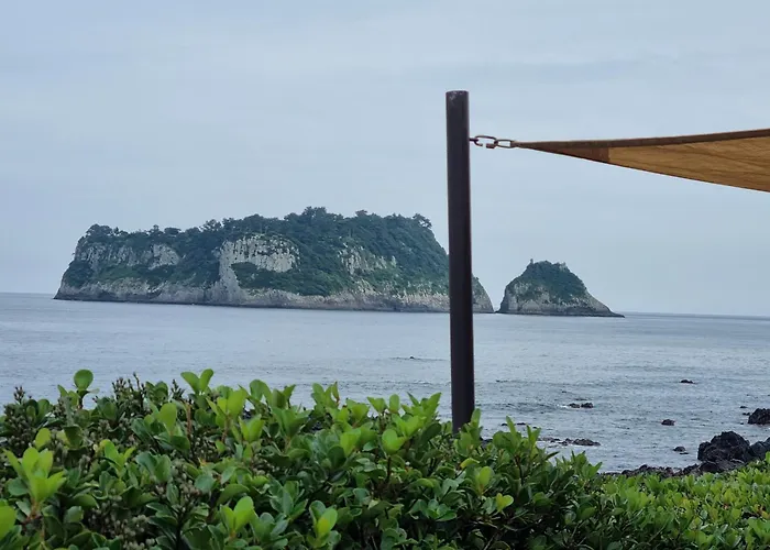 Jeju Amoje